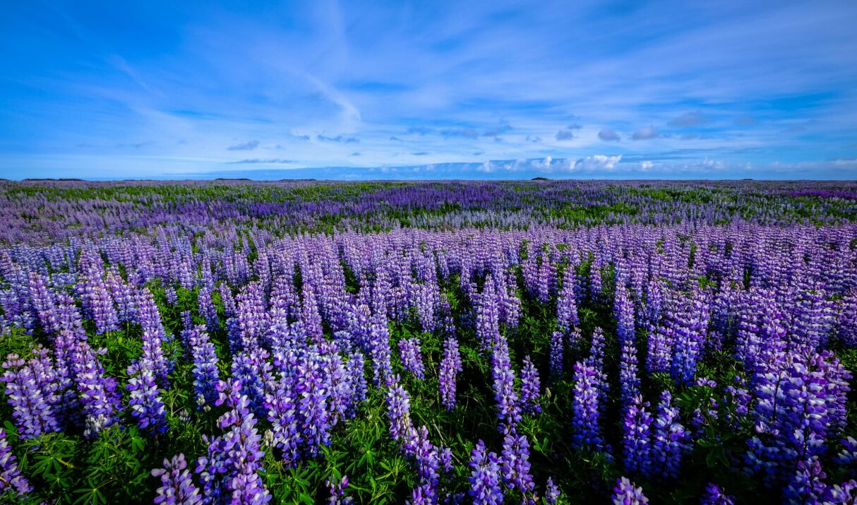 💸 Why Your Website Isn’t Getting Leads (And How to Fix It)