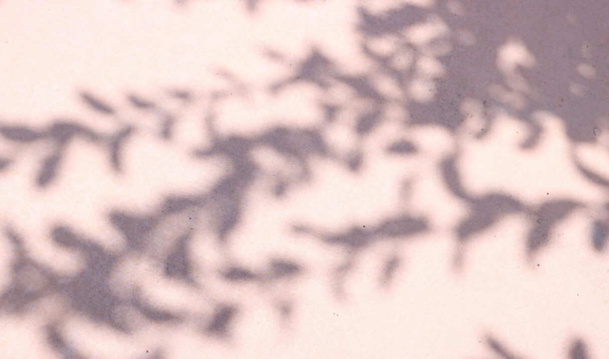 5 Website Mistakes That Are Costing Your Business Customers